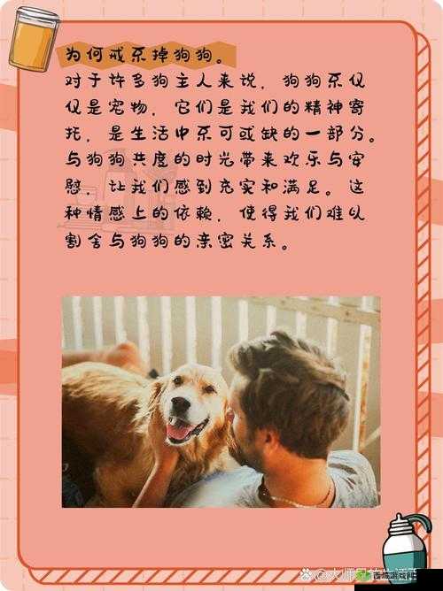 狗狗让我上瘾戒不掉:爱宠如命,该如何是好?