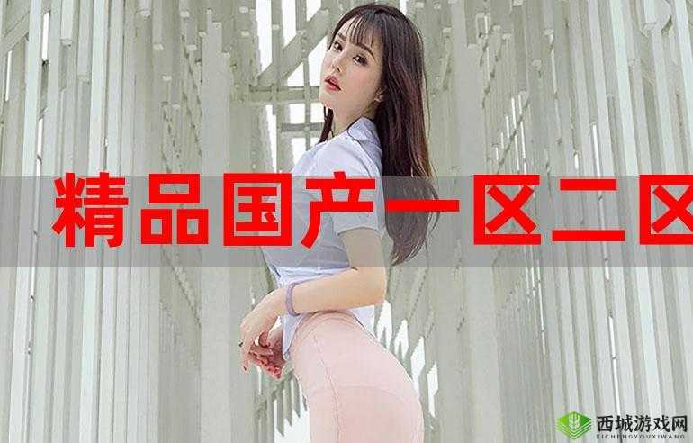 国产精产国品一二三产区区别:特点与差异解析