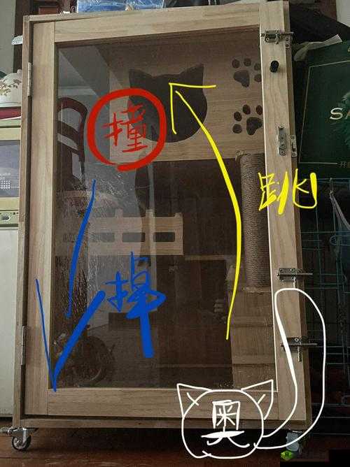 张警犬撞玻璃视频资源：精彩瞬间不容错过