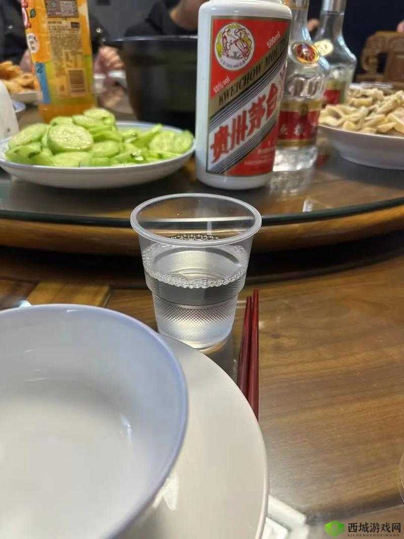 招惹 1 v1po 伴酒：一场别样的陪伴之旅