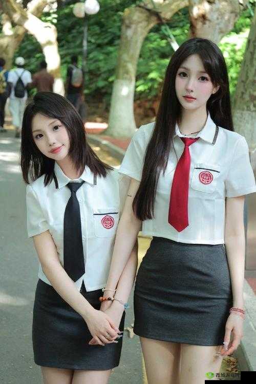 从校服衣袖偷窥葡萄:青春里的隐秘视角